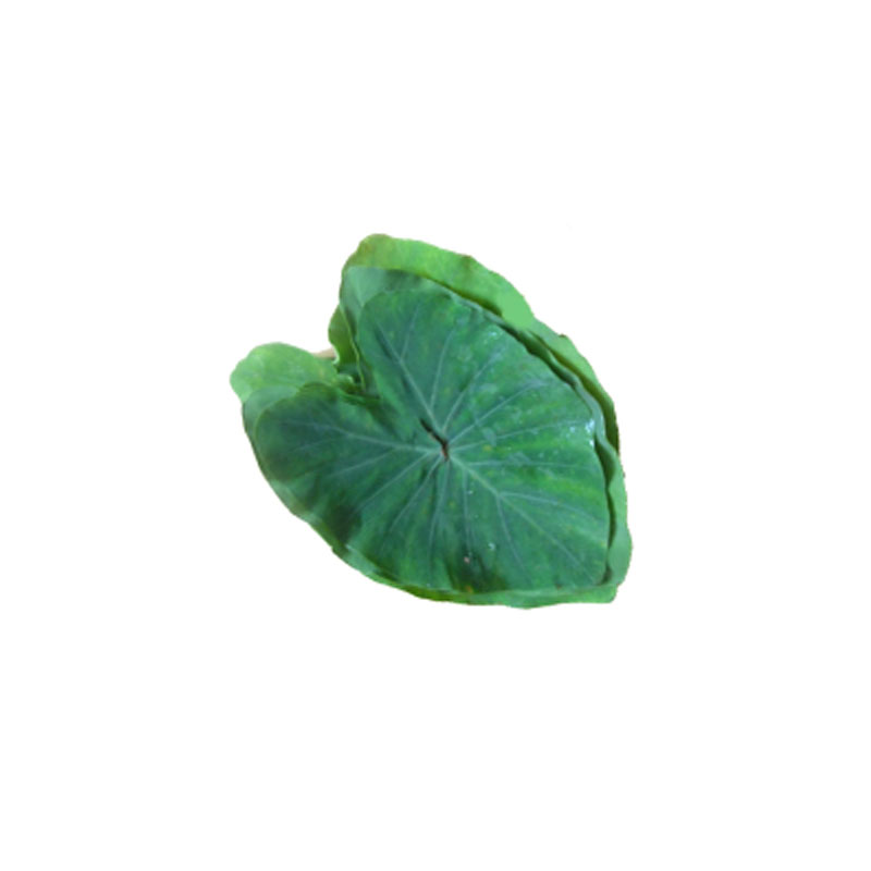 patarveli pan